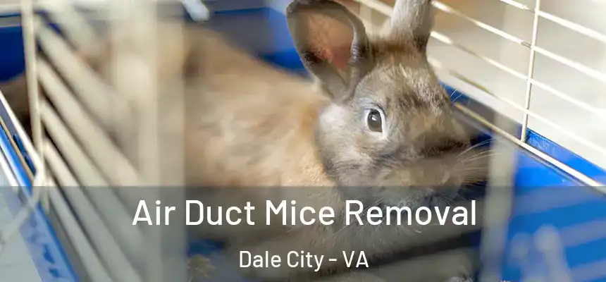 Air Duct Mice Removal Dale City - VA