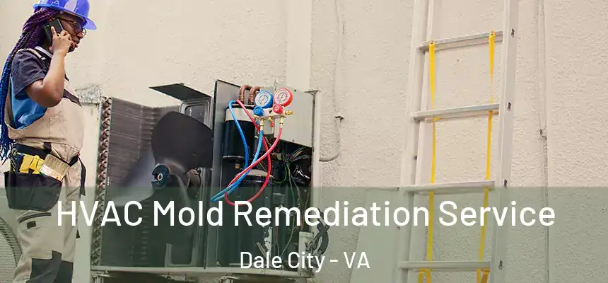 HVAC Mold Remediation Service Dale City - VA