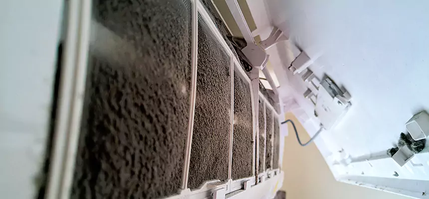 Preventive Air Duct Bacteria Removal in Dale City