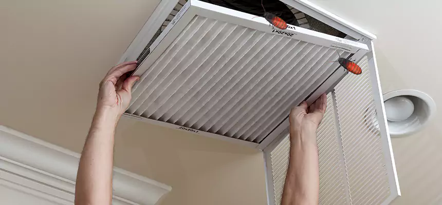 Preventive Cockroach-Proofing for Ducts in Dale City