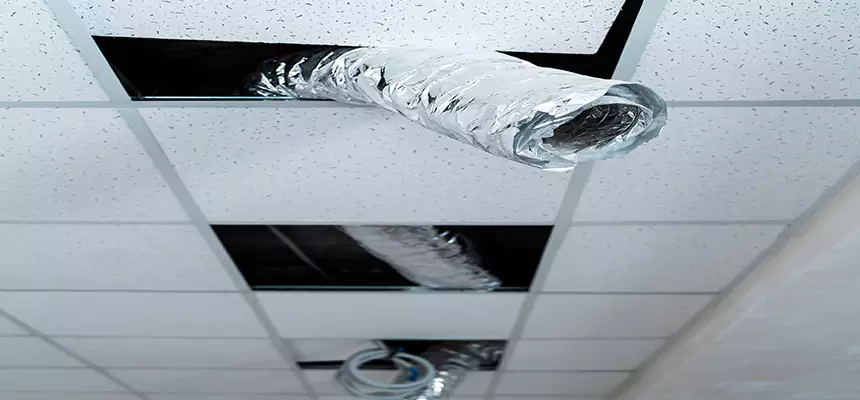 Our Air Duct Pet Hair Removal Services in Dale City, VA