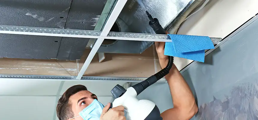 Our Air Duct Rodent Removal Services in Dale City, VA