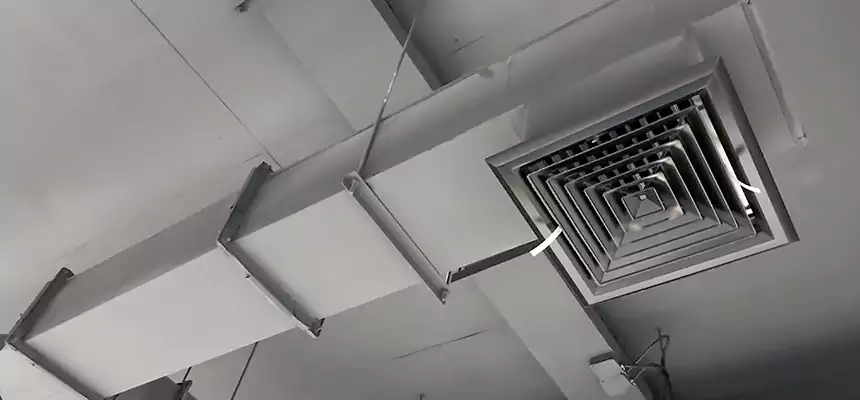 Our Rodent Droppings In Vents Services in Dale City, VA