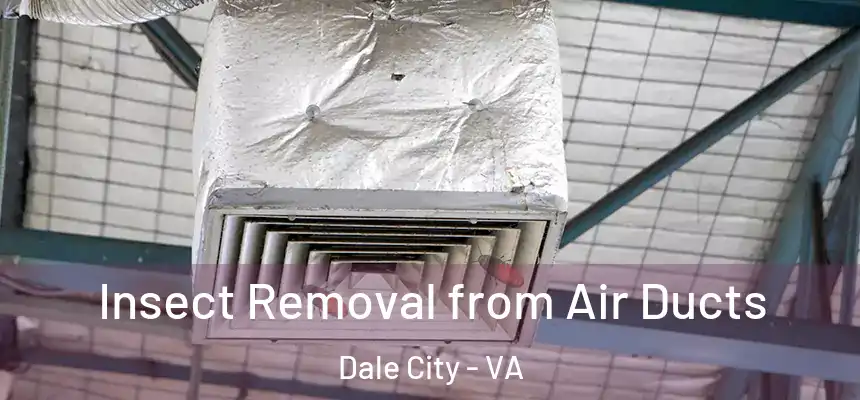 Insect Removal from Air Ducts Dale City - VA