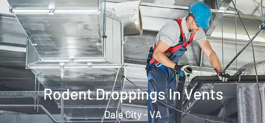 Rodent Droppings In Vents Dale City - VA