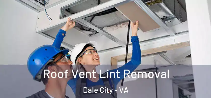 Roof Vent Lint Removal Dale City - VA