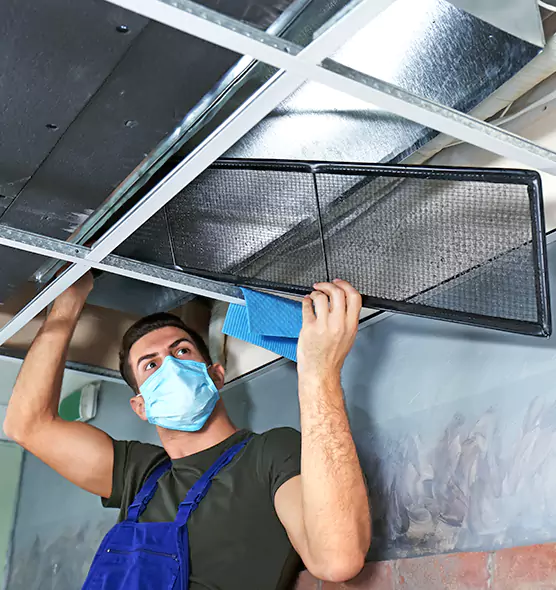About Air Duct Bacteria Removal in Dale City