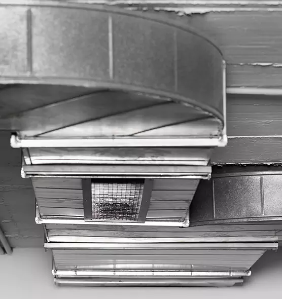 Professional Air Duct Pet Hair Removal in Dale City, VA