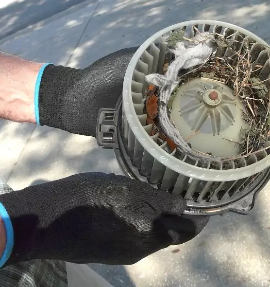 About Air Duct Rat Removal in Dale City, VA