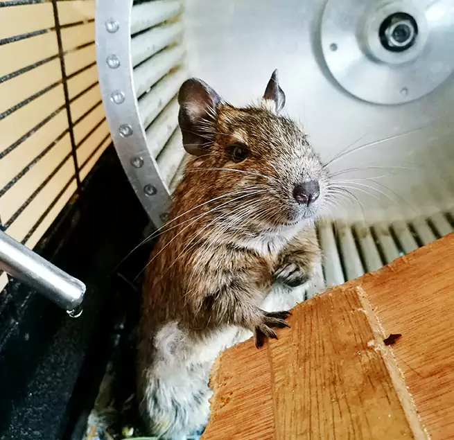 Why Homeowners & Businesses Trust Us Dale City, VA