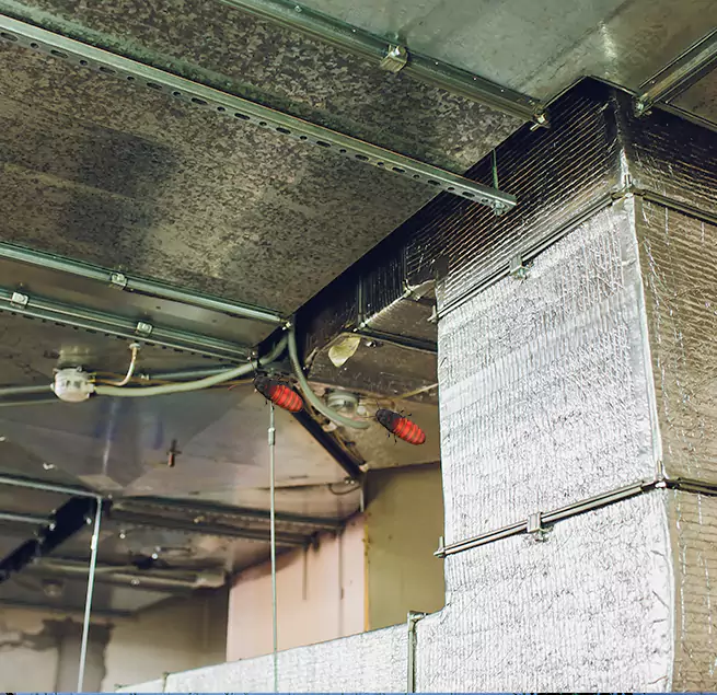 Why Homeowners & Businesses Trust Us Dale City, VA?